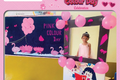 pink-color-day-12