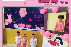 pink-color-day-13