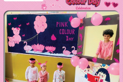 pink-color-day-14