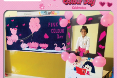 pink-color-day-8